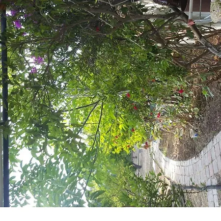 Holiday home Hasan Sevik Bahcesi Gumusluk