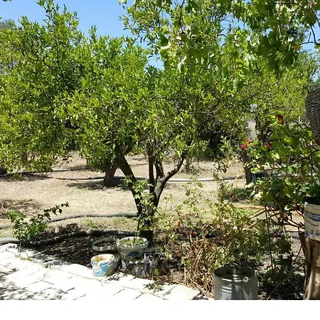 Holiday home Hasan Sevik Bahcesi *